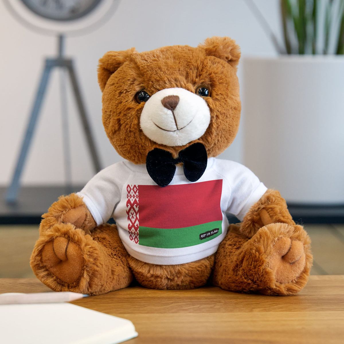 Belarus Flag Teddy Bear – Belarusian Heritage Plush Toy