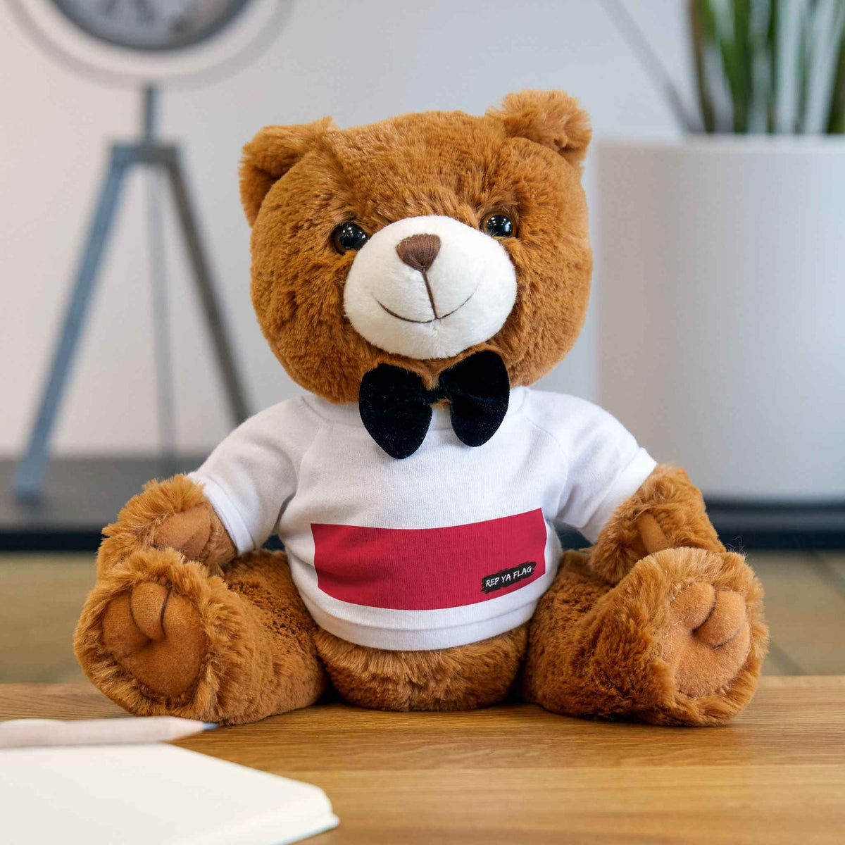 Poland Flag Teddy Bear | Polish Heritage Plush Gift | Rep Ya Flag