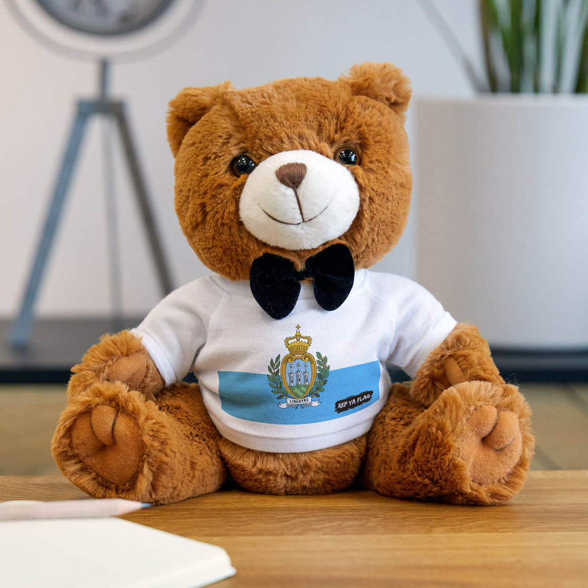 San Marino Flag Teddy Bear – San Marino Heritage Plush