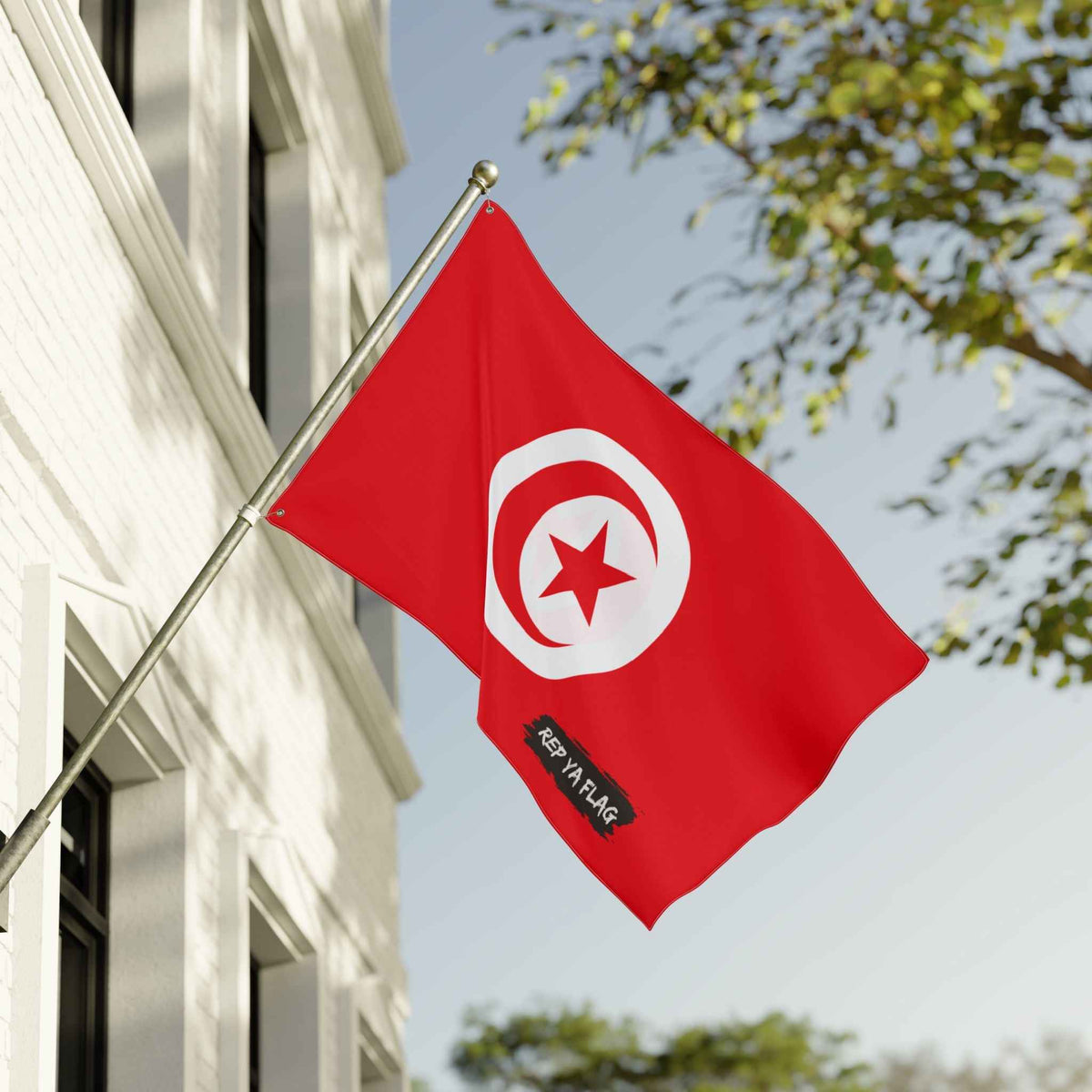 Double-Sided Tunisia Flag Garden Banner