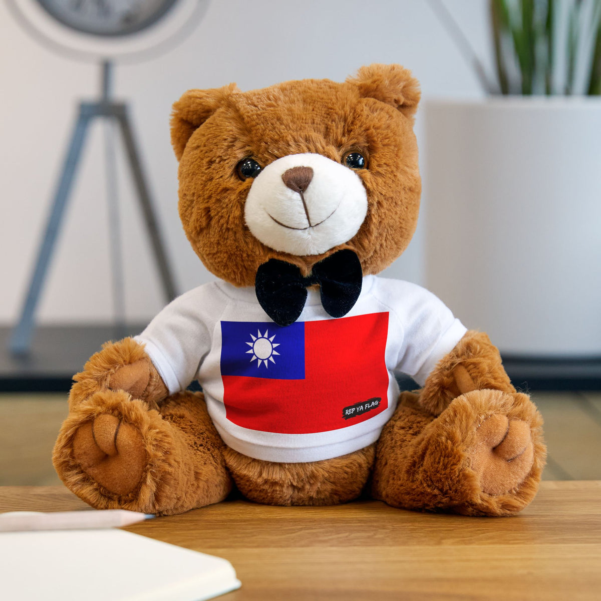 Taiwan Flag Teddy Bear Plush – Taiwanese Heritage Gift