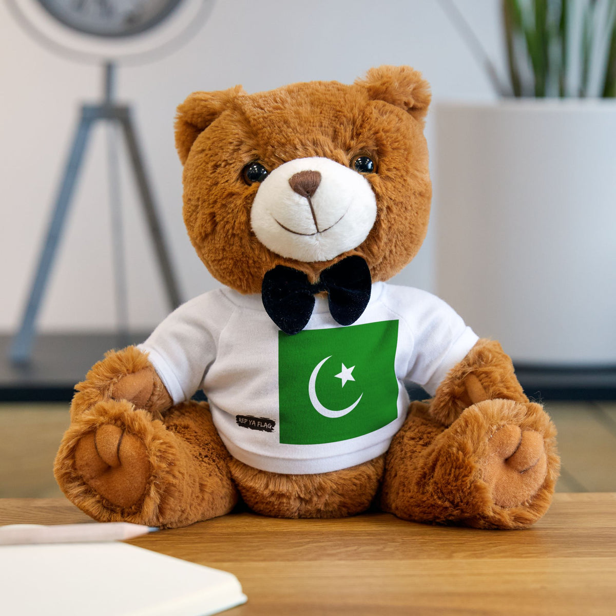 Pakistan Flag Teddy Bear | Pakistan Plush Gift | Pakistani Heritage Bear | Cultural Keepsake | Baby Gift Stuffed Animal - Rep Ya Flag