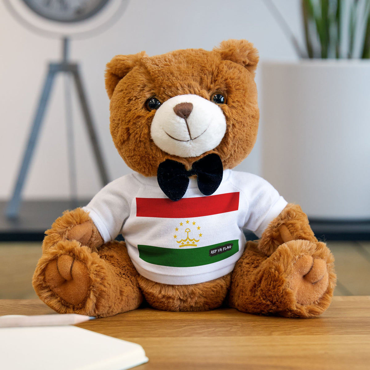 Tajikistan Flag Teddy Bear – Cultural Plush Keepsake