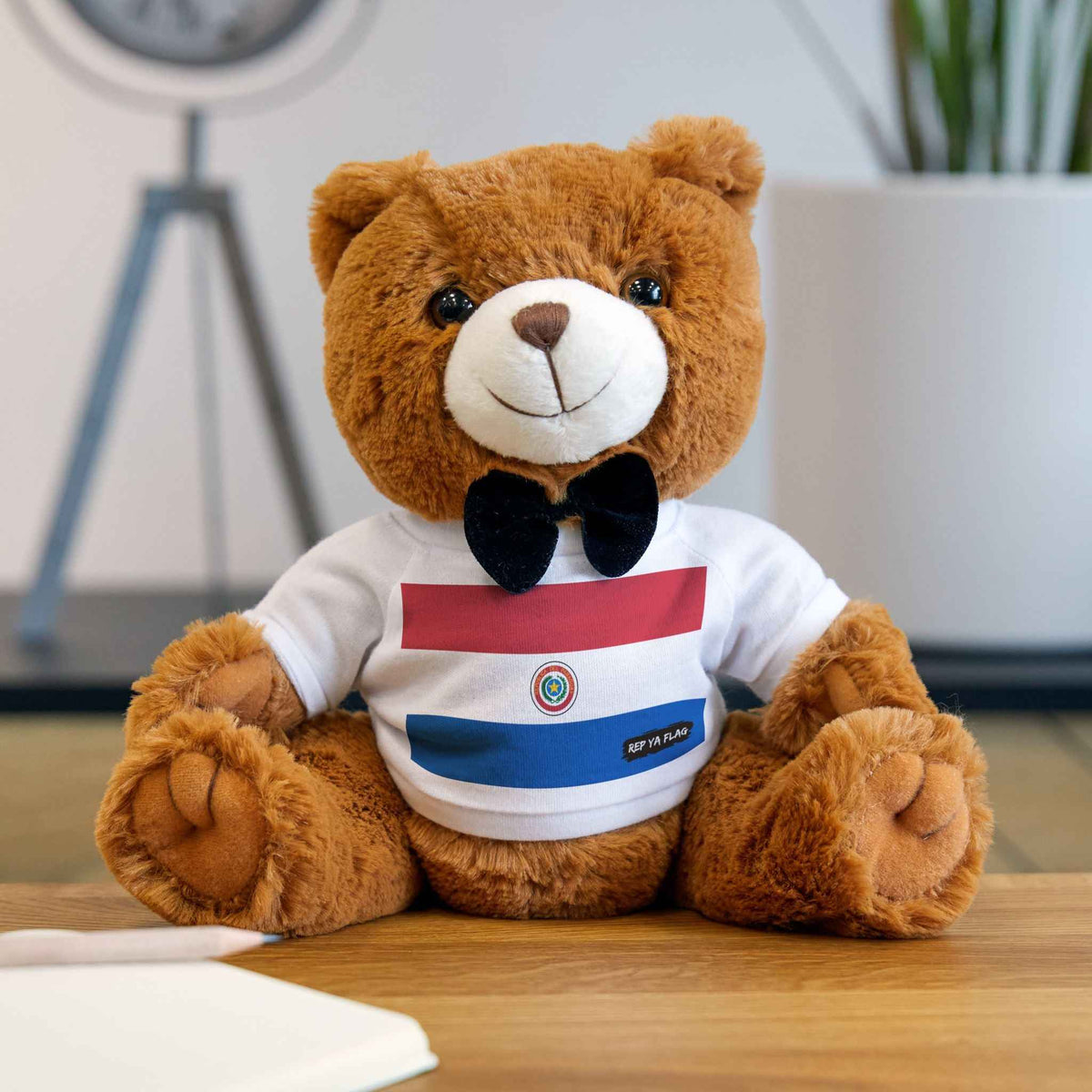 Paraguay Flag Teddy Bear | Paraguayan Heritage Plush Gift | Rep Ya Flag