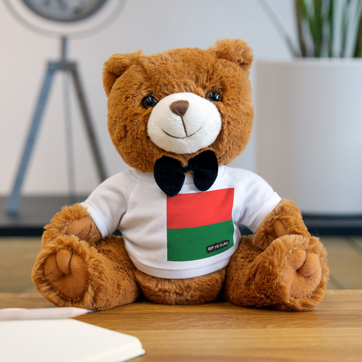 Madagascar Flag Teddy Bear | Malagasy Heritage Plush Gift | Rep Ya Flag - Rep Ya Flag