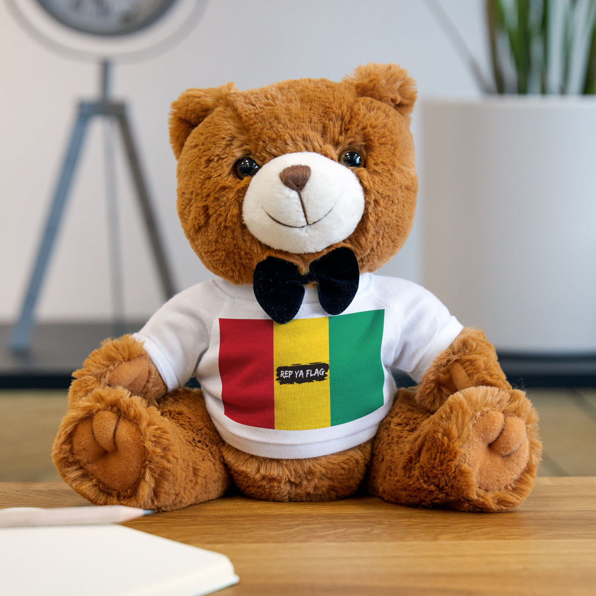 Guinea Flag Teddy Bear | Guinean Heritage Plush Gift | Rep Ya Flag - Rep Ya Flag