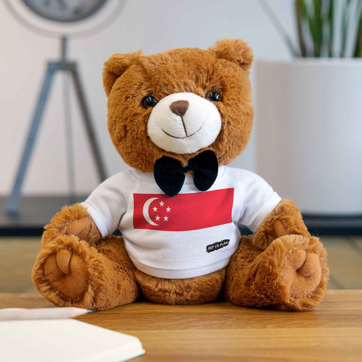 Singapore Flag Teddy Bear | Singaporean Plush Gift | Heritage Bear | Cultural Keepsake | Baby Gift Stuffed Animal | Rep Ya Flag
