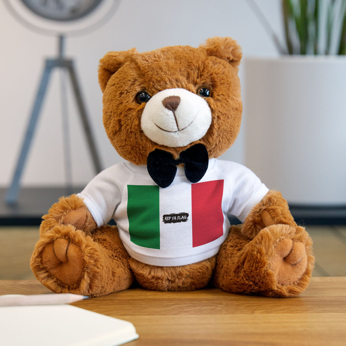 Italy Flag Teddy Bear | Italian Heritage Plush Gift | Rep Ya Flag - Rep Ya Flag
