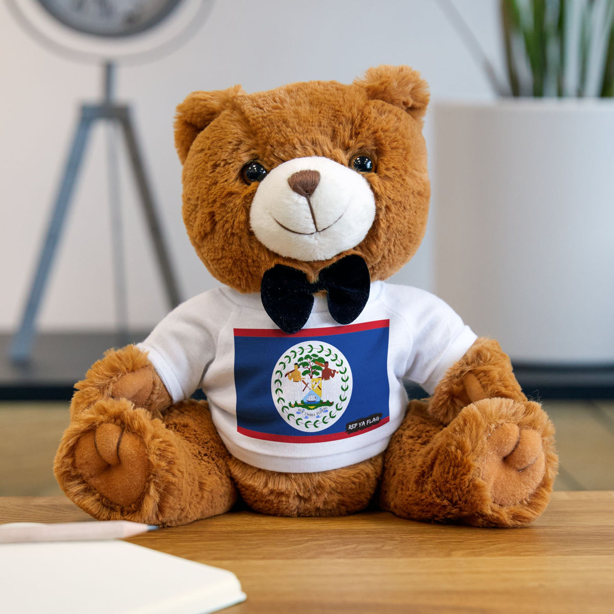 Belize Flag Teddy Bear – Belizean Heritage Plush Gift