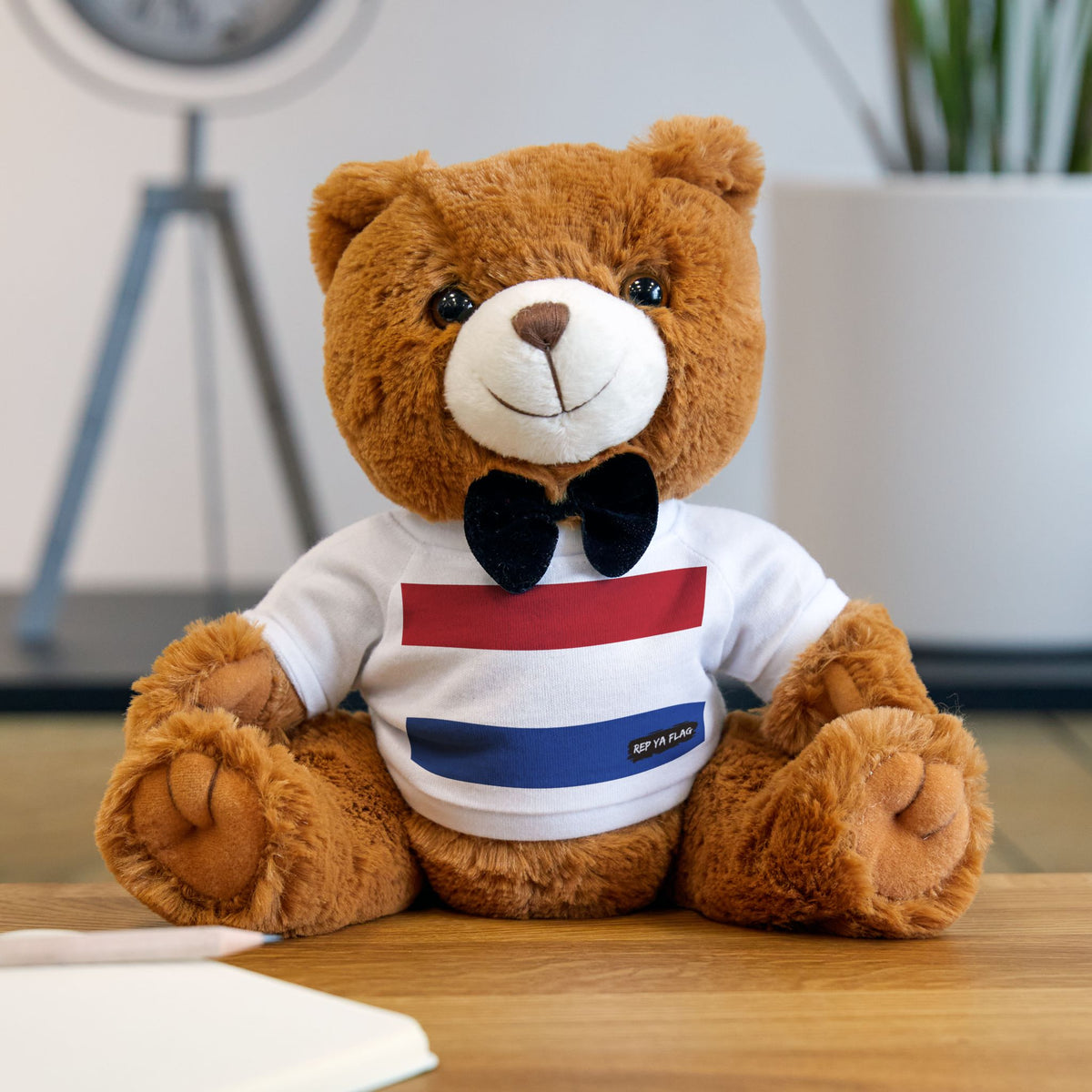 Netherlands Flag Teddy Bear | Dutch Plush Gift | Dutch Heritage Bear | Cultural Keepsake | Baby Gift Stuffed Animal - Rep Ya Flag