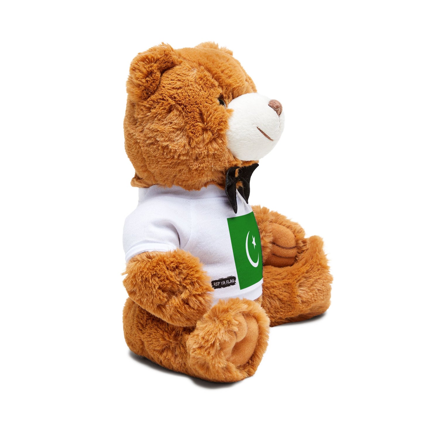 Pakistan Flag Teddy Bear | Pakistan Plush Gift | Pakistani Heritage Bear | Cultural Keepsake | Baby Gift Stuffed Animal