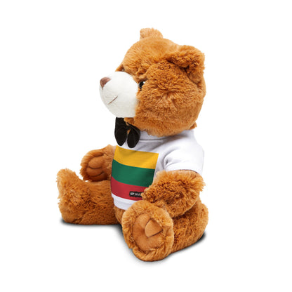 Lithuania Flag Teddy Bear | Lithuanian Heritage Plush Gift | Rep Ya Flag