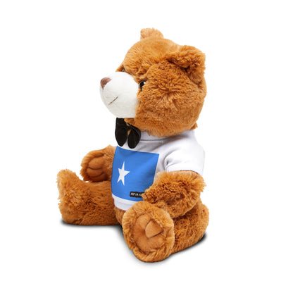 Somalia Flag Teddy Bear | Somali Heritage Plush | Cultural Stuffed Animal | Heritage Keepsake Bear | Rep Ya Flag