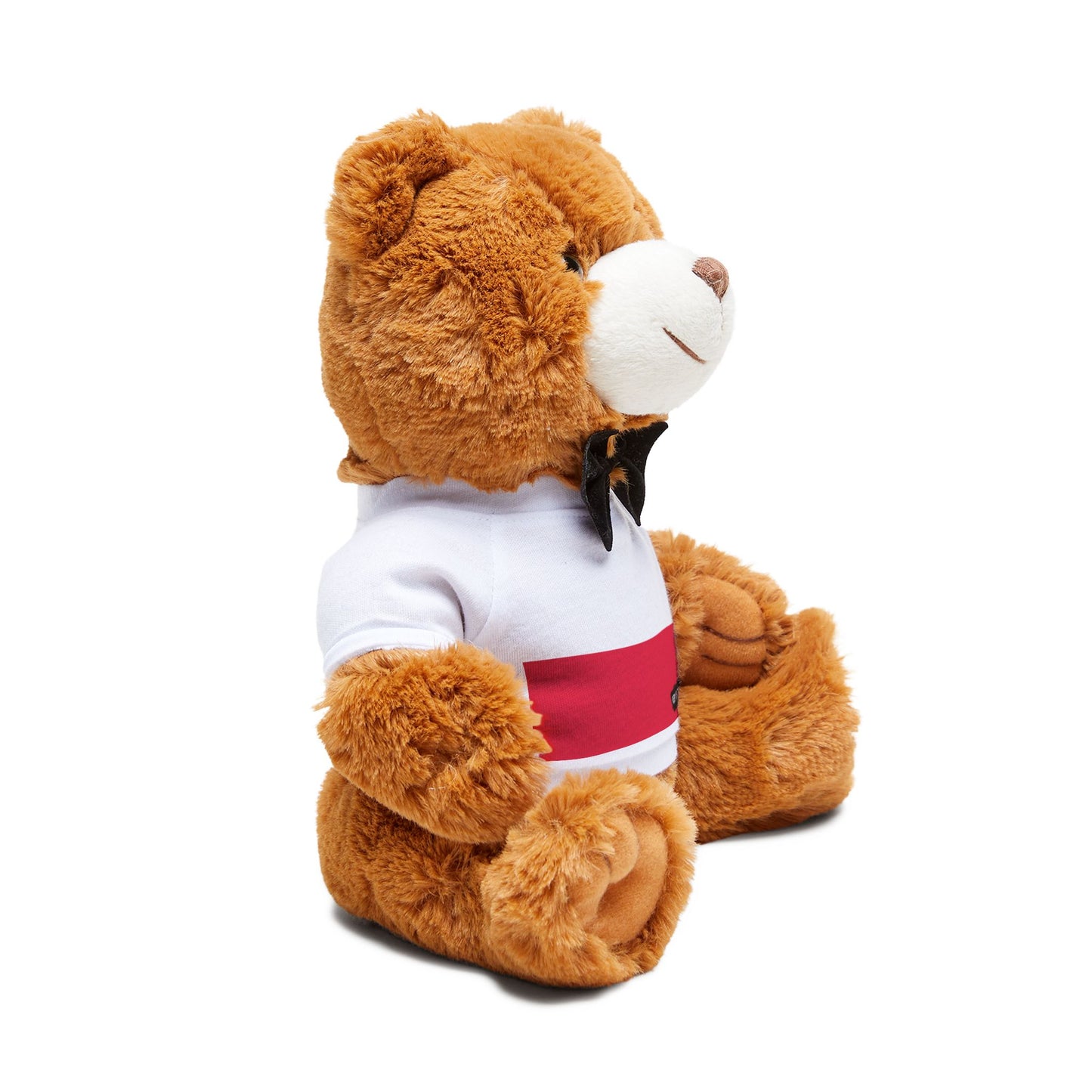 Poland Flag Teddy Bear | Polish Heritage Plush Gift | Rep Ya Flag