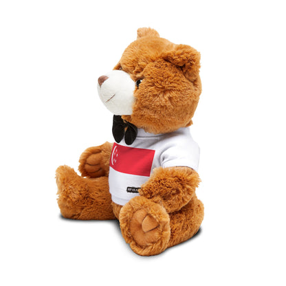 Singapore Flag Teddy Bear | Singaporean Plush Gift | Heritage Bear | Cultural Keepsake | Baby Gift Stuffed Animal | Rep Ya Flag