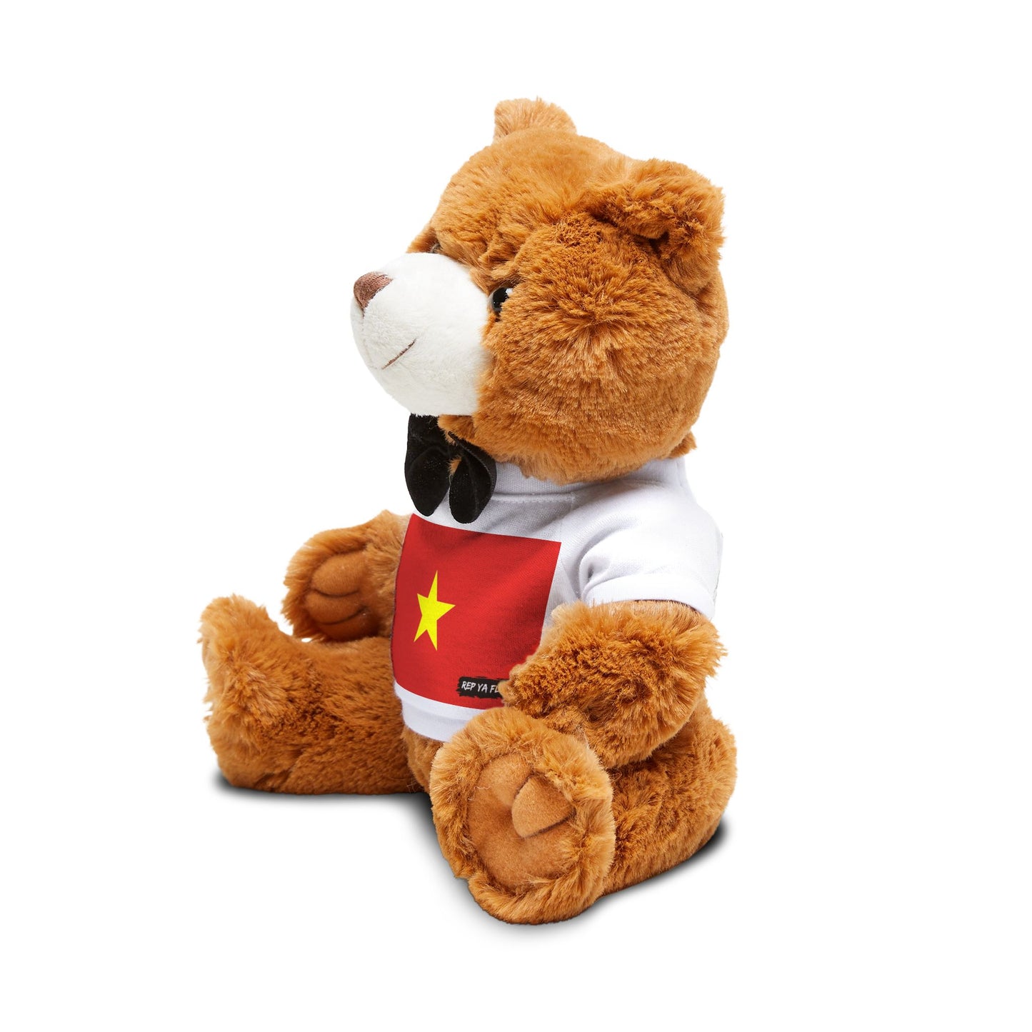 Vietnam Teddy Bear | Vietnam Flag Plush | Vietnam Gift | Cultural Stuffed Animal | Heritage Gift | Keepsake Bear