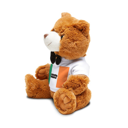 Ireland Flag Teddy Bear | Irish Heritage Plush Gift | Rep Ya Flag