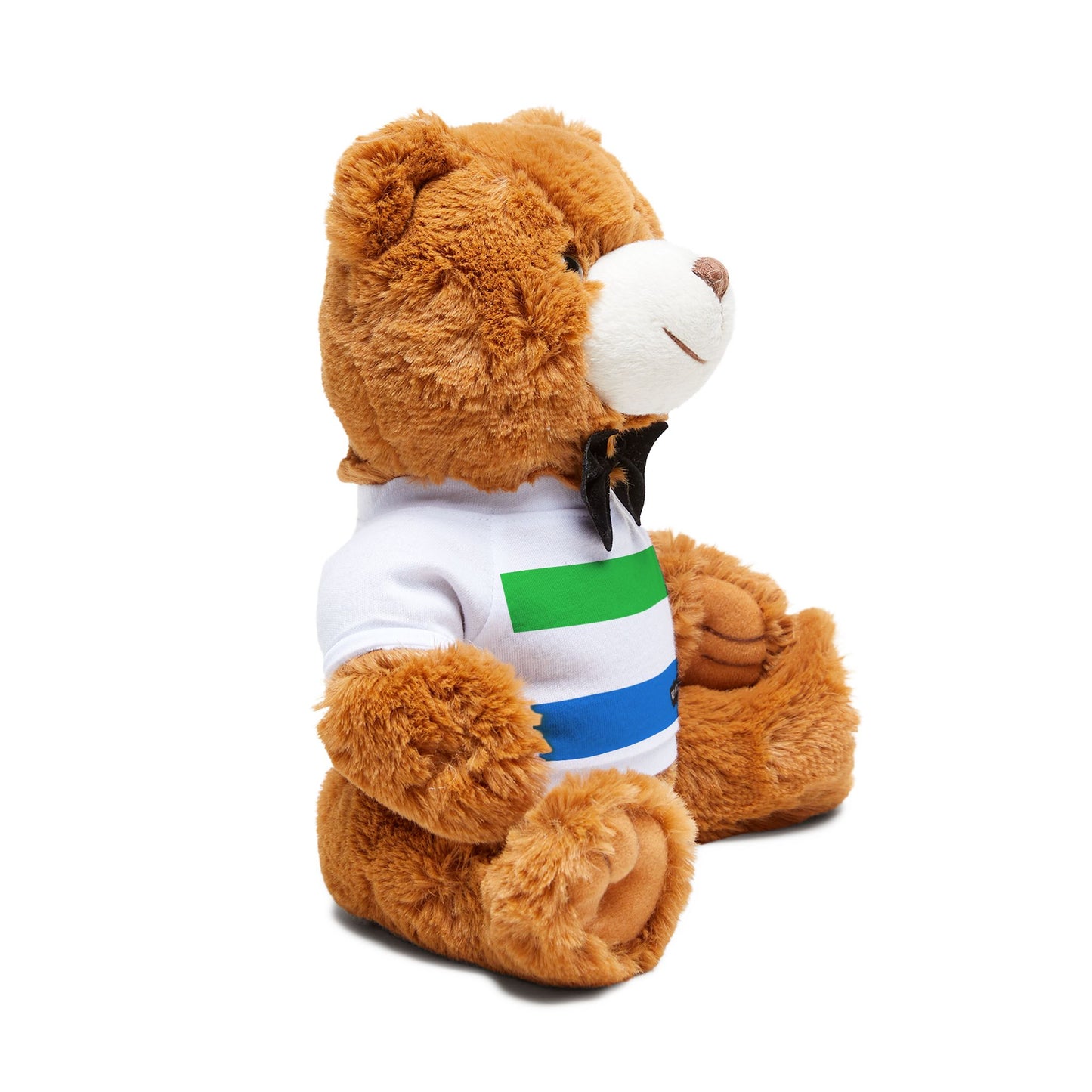 Sierra Leone Flag Teddy Bear | Sierra Leonean Plush Gift | Heritage Bear | Cultural Keepsake | Baby Gift Stuffed Animal | Rep Ya Flag
