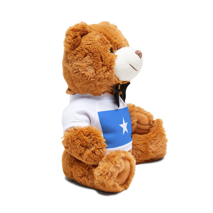 Somalia Flag Teddy Bear | Somali Heritage Plush | Cultural Stuffed Animal | Heritage Keepsake Bear | Rep Ya Flag