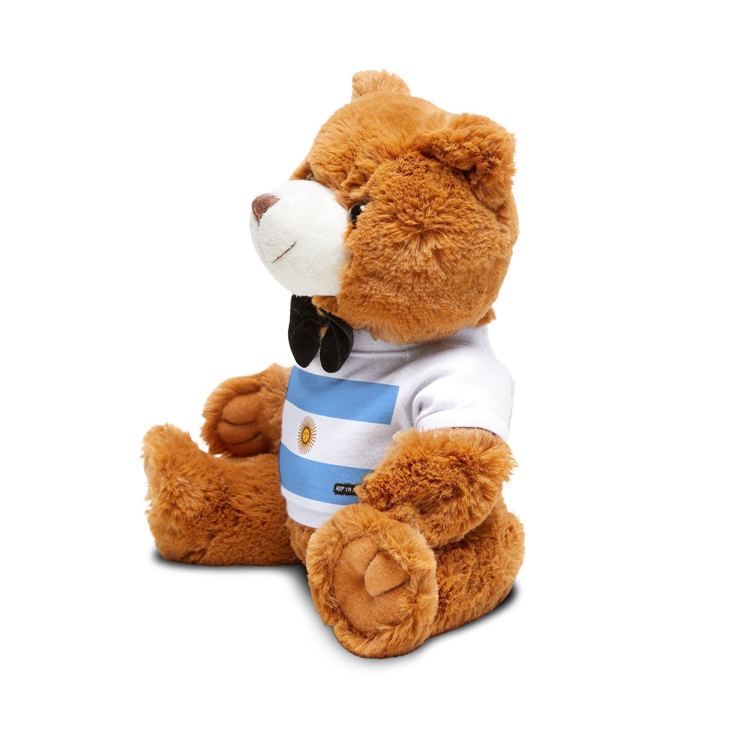 Argentina Flag Teddy Bear | Argentine Heritage Plush Gift | Rep Ya Flag
