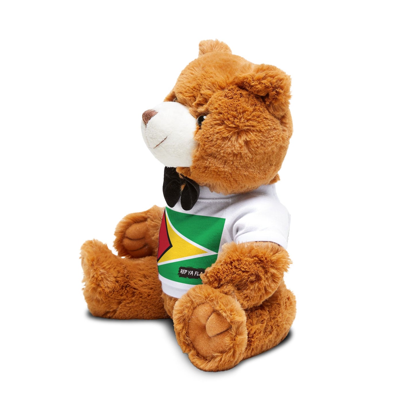 Guyana Flag Teddy Bear | Guyanese Heritage Plush Gift | Rep Ya Flag