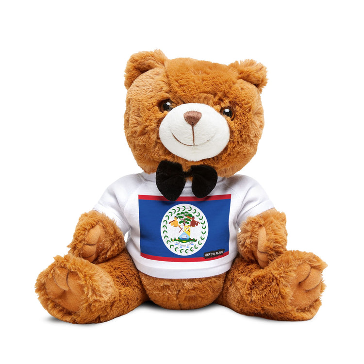 Belize Flag Teddy Bear – Belizean Heritage Plush Gift