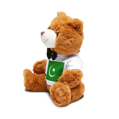 Pakistan Flag Teddy Bear | Pakistan Plush Gift | Pakistani Heritage Bear | Cultural Keepsake | Baby Gift Stuffed Animal