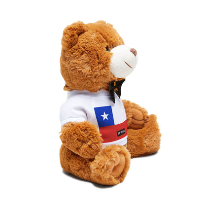 Chile Flag Teddy Bear | Chilean Heritage Plush Gift | Rep Ya Flag