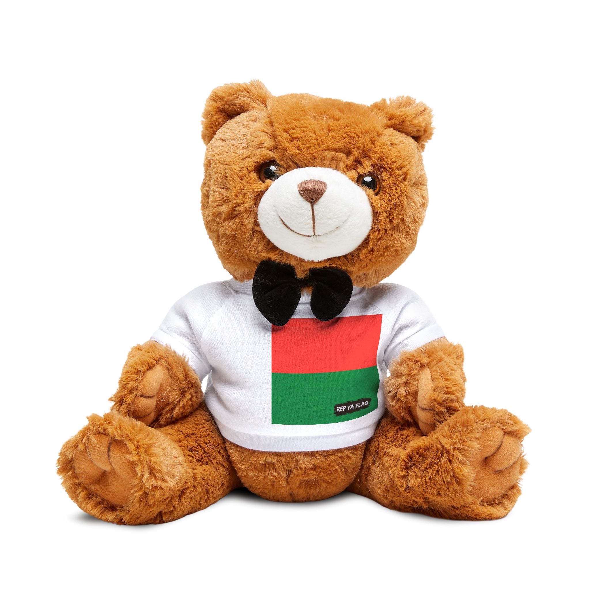 Madagascar Flag Teddy Bear | Malagasy Heritage Plush Gift | Rep Ya Flag