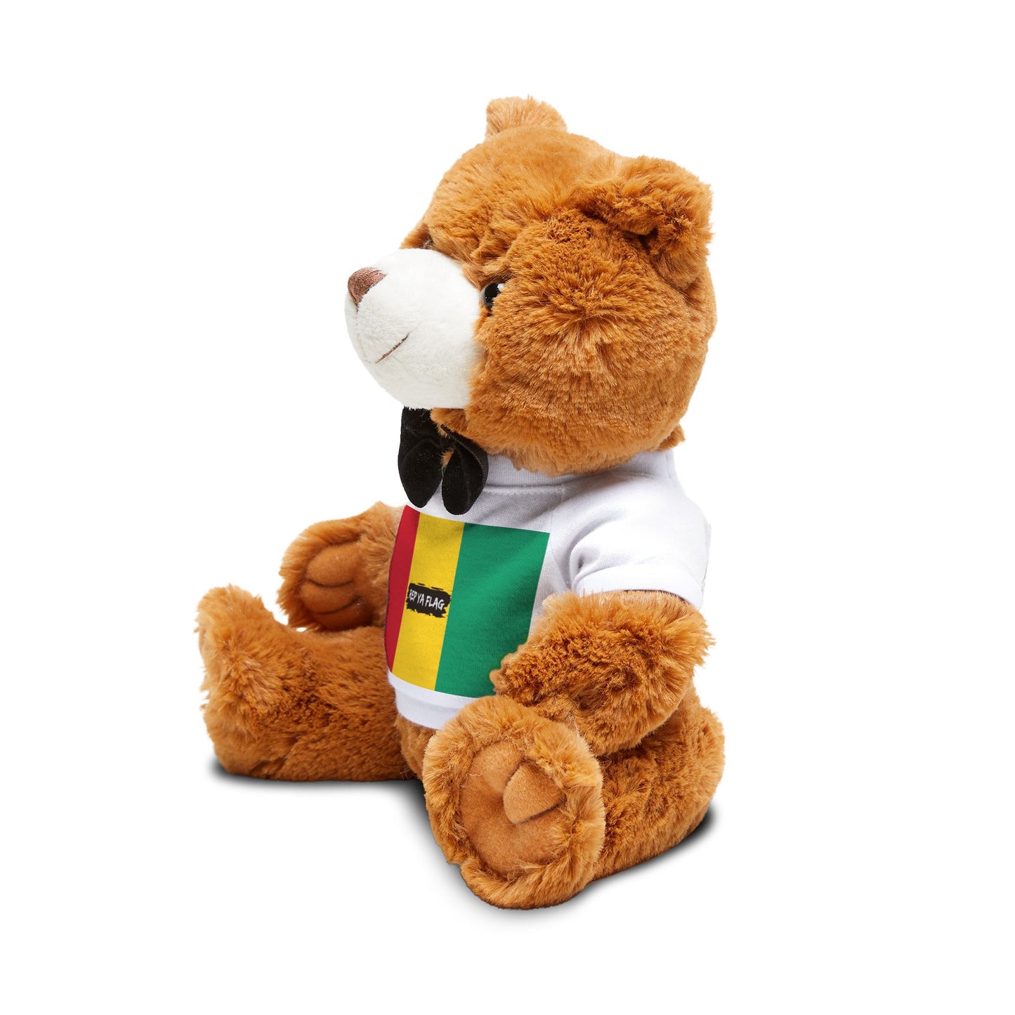 Guinea Flag Teddy Bear | Guinean Heritage Plush Gift | Rep Ya Flag