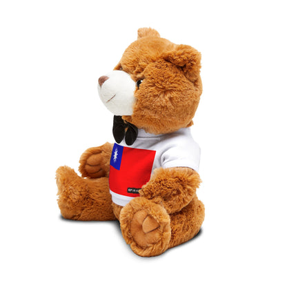 Taiwan Teddy Bear | Taiwan Flag Plush | Taiwanese Gift | Cultural Stuffed Animal | Heritage Keepsake Bear