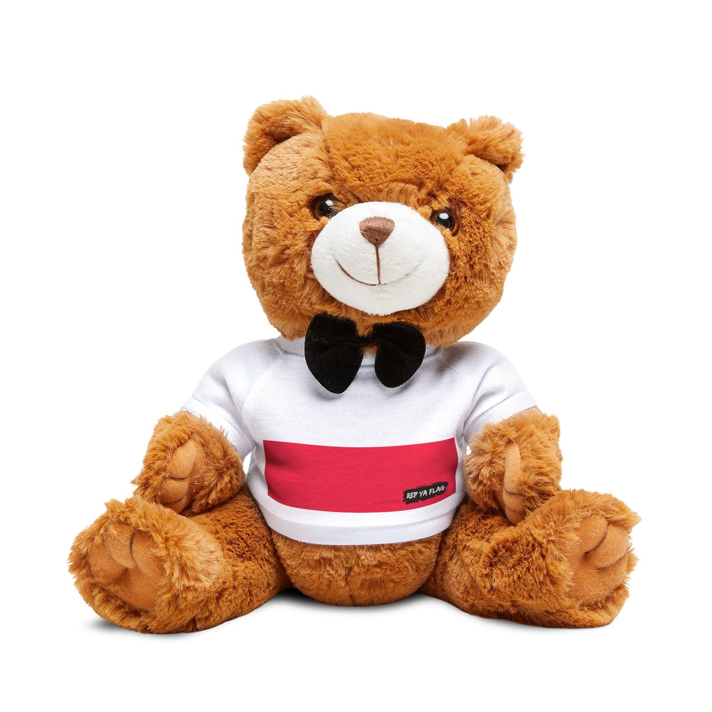 Poland Flag Teddy Bear | Polish Heritage Plush Gift | Rep Ya Flag
