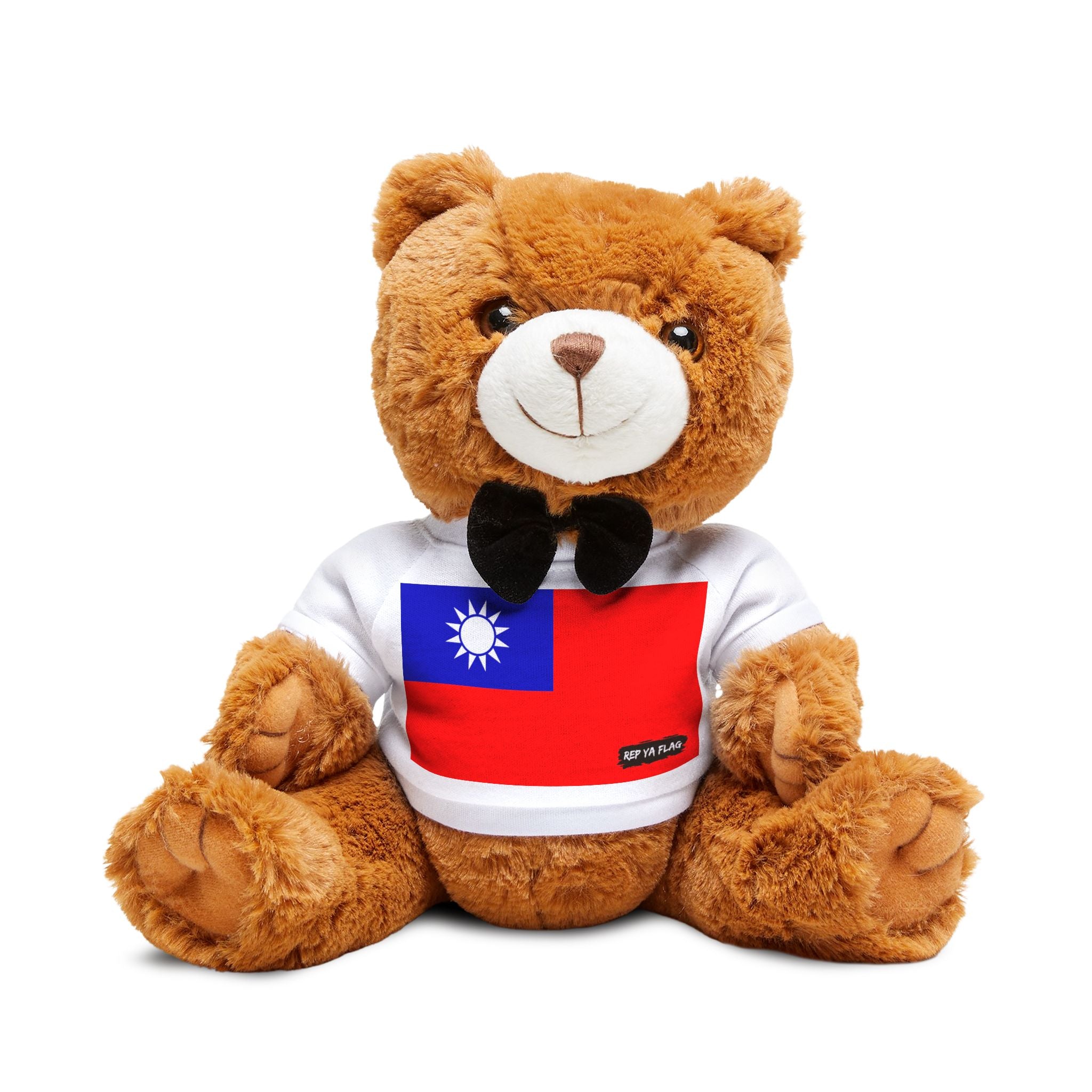 Taiwan Teddy Bear | Taiwan Flag Plush | Taiwanese Gift | Cultural Stuffed Animal | Heritage Keepsake Bear